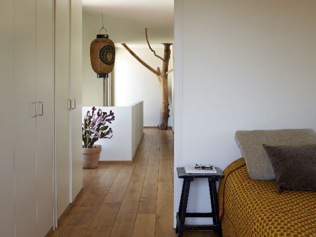Espacio interior del dormitorio principal con un árbol seco al fondo del pasillo junto a la escalera.
